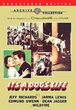 Watch It\'s a Dog\'s Life Movie2k