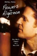 Watch Flowers for Algernon Movie2k