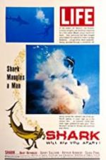 Watch Shark Movie2k