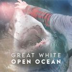 Watch Great White Open Ocean Movie2k