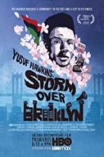 Watch Yusuf Hawkins: Storm Over Brooklyn Movie2k