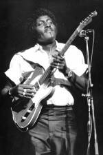 Watch Albert Collins in Concert Movie2k