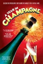 Watch A Year in Champagne Movie2k