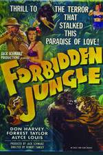 Watch Forbidden Jungle Movie2k