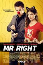 Watch Mr. Right Movie2k