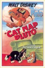 Watch Cat Nap Pluto Movie2k