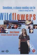 Watch Wildflowers Movie2k