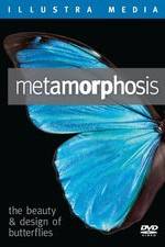 Watch Metamorphosis: The Beauty and Design of Butterflies Movie2k