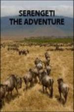 Watch Serengeti: The Adventure Movie2k