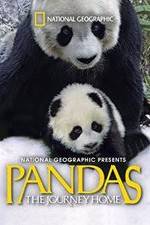 Watch Pandas: The Journey Home Movie2k