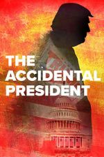 Watch The Accidental President Movie2k