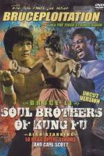 Watch Soul Brothers of Kung Fu Movie2k