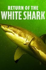 Watch Return of the White Shark Movie2k