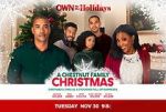 Watch A Chestnut Family Christmas Movie2k