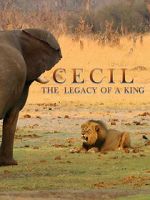 Watch Cecil: The Legacy of a King Movie2k