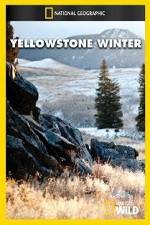 Watch National Geographic Yellowstone Winter Movie2k