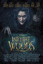 Watch Into the Woods Movie2k