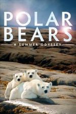 Watch Polar Bears: A Summer Odyssey Movie2k