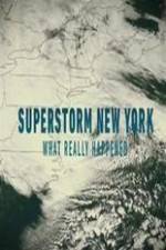 Watch Superstorm New York: What Really Happened Movie2k