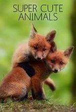 Watch Super Cute Animals Movie2k