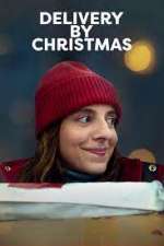 Watch Delivery by Christmas Movie2k