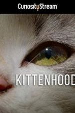 Watch Kittenhood Movie2k