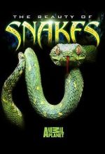 Watch Beauty of Snakes Movie2k