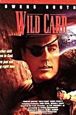 Watch Wild Card Movie2k