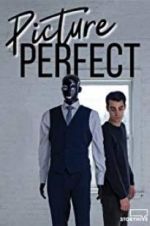 Watch Picture Perfect Movie2k