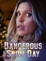 Watch Dangerous Snow Day Movie2k