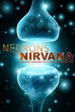 Watch Neurons to Nirvana Movie2k