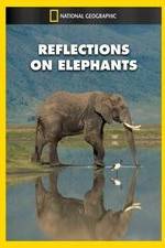 Watch Reflections on Elephants Movie2k