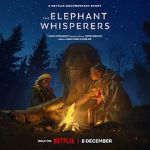 Watch The Elephant Whisperers (Short 2022) Movie2k