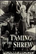 Watch The Taming of the Shrew Movie2k