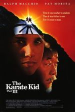 Watch The Karate Kid Part III Movie2k