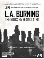 Watch L.A. Burning: The Riots 25 Years Later Movie2k