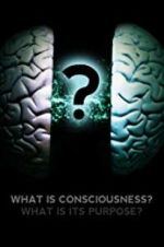 Watch What Is Consciousness? What Is Its Purpose? Movie2k