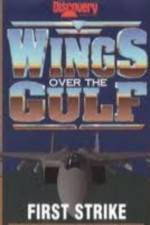 Watch Wings Over the Gulf Vol  1  First Strike Movie2k