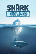 Watch Shark Below Zero Movie2k