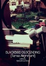 Watch Blackbird Descending Movie2k