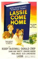 Watch Lassie Come Home Movie2k