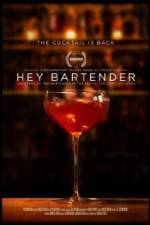 Watch Hey Bartender Movie2k