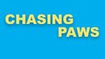 Watch Chasing Paws (Short 2020) Movie2k