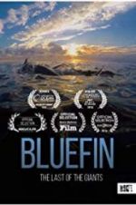 Watch Bluefin Movie2k