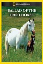 Watch Ballad of the Irish Horse Movie2k