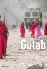 Watch Gulabi Gang Movie2k