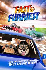 Watch Fast and Furriest Movie2k