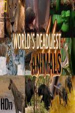 Watch National Geographic - Worlds Deadliest Animal Battles Movie2k