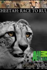 Watch Cheetah: Race to Rule Movie2k