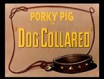 Watch Dog Collared (Short 1950) Movie2k